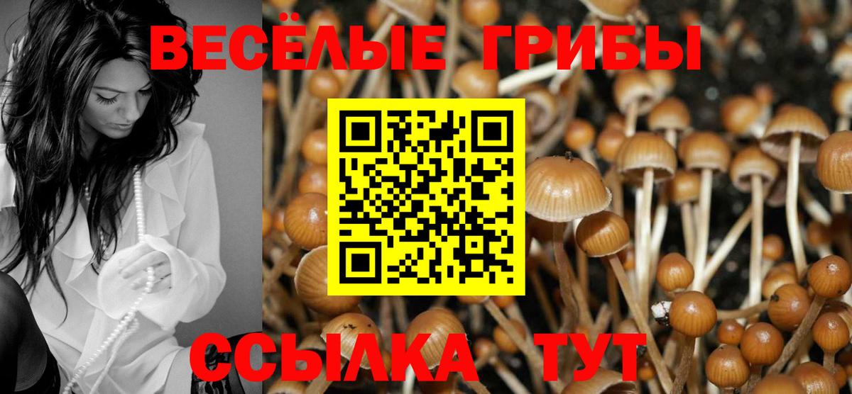 Псилоцибиновые грибы мухоморы Тавда