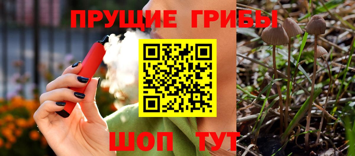Тавда  Галлюциногенные грибы Cubensis  Вход с VPN 